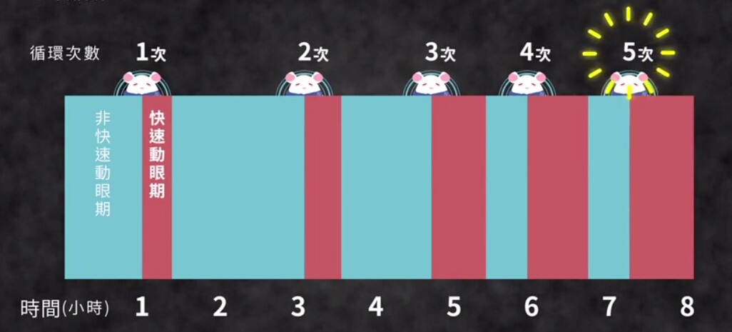 周三说梦：原来“晨勃”居然跟做梦有关！