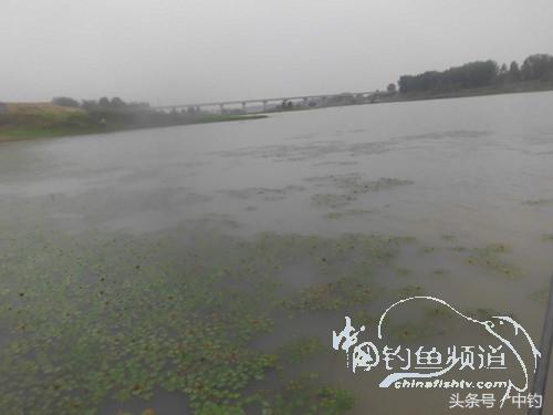 野河深秋降温后钓鲫鱼,冬钓鲫阴雨天怎样钓