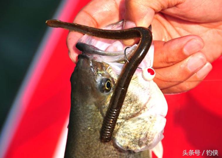 路亚假饵认识大全,钓鱼认识鱼漂视频