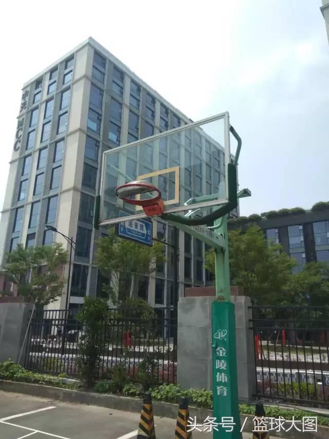 还是大妈的告捷！洛阳球场打人事件有了结果，可却寒了所有人的心