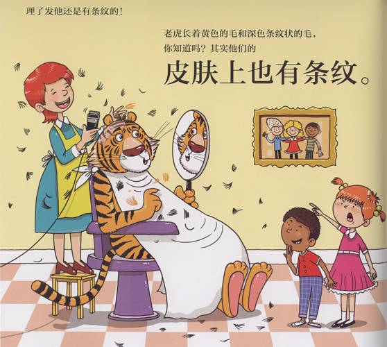 又好玩又有趣的绘本爱不释手,科普绘本推荐7-12岁科普绘本