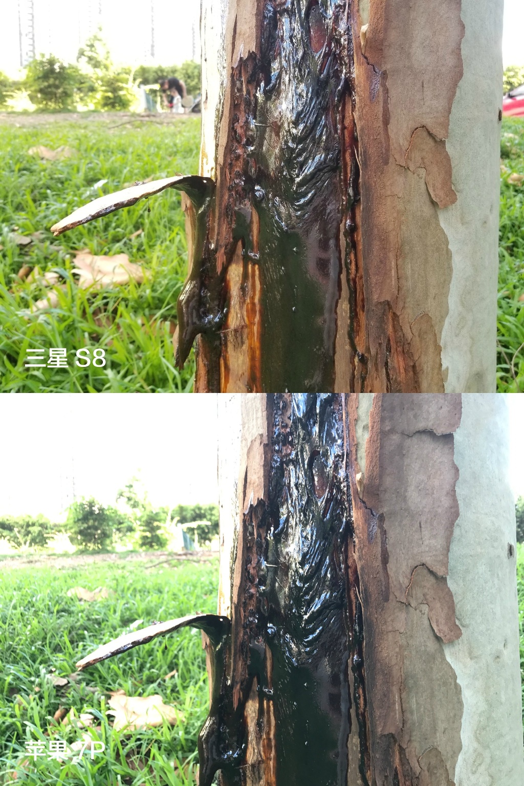 三星盖乐世S8怎么全屏,三星盖乐世s8现在值多少钱