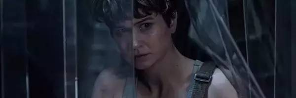 异形契约详细解析,观看异形契约