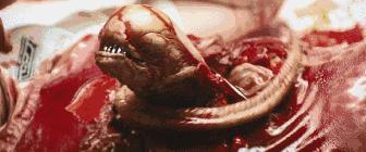 异形契约详细解析,观看异形契约