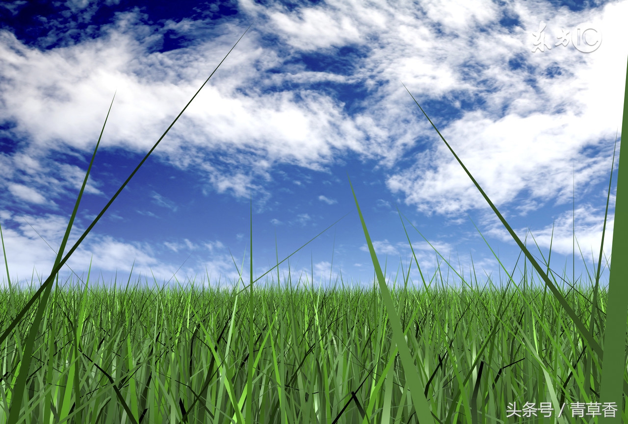 长生十二宫,长生十二宫是哪十二个