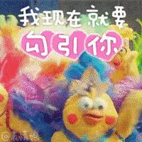 陈柏霖颜值花儿与少年,陈柏霖个人简介