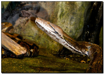 古墓机关重重他们如何成功逃脱,墓室内机关陷阱