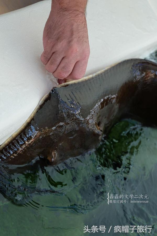 36个必须知道的澳洲旅行贴士,澳洲昆士兰州自由行攻略