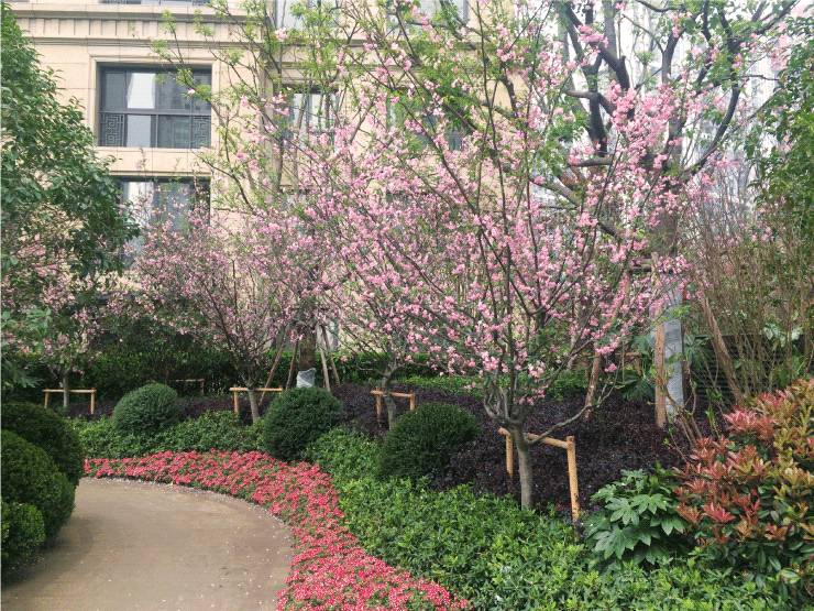 央企房子靠谱吗,央企的房子靠谱吗