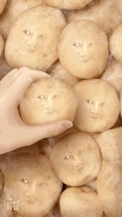 女生修图必备app推荐,女生修图软件app