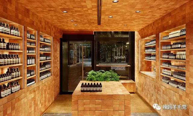 aesop伊索属于什么档次,aesop伊索产品