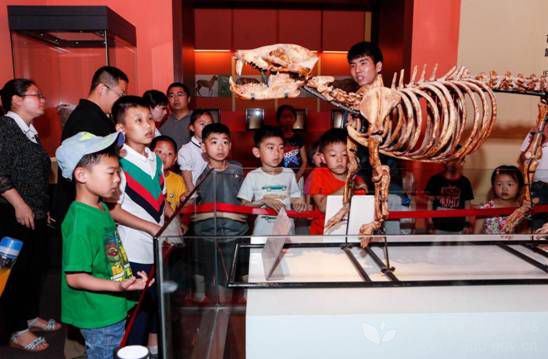 陕西省六一国际儿童节嘉年华晚会,西安市六一儿童节活动