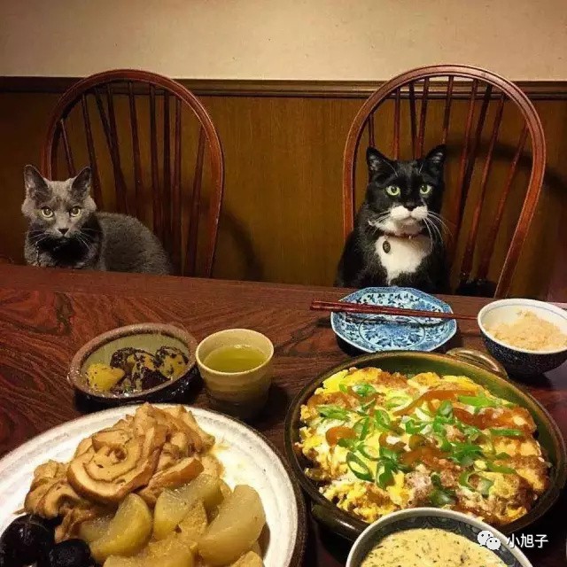 女人过了25岁就贬值？这个日本萌奶奶告诉你：60岁当时尚博主也不晚！