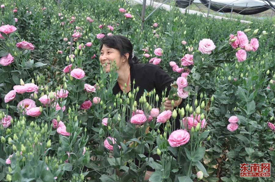 大山深处绽放美育之花新华社,大山深处自然生长而美丽的花