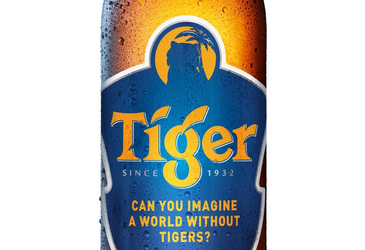 虎牌为什么没有304标识,老虎牌子啤酒