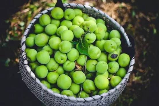 「健康」夏日凉果之王：一颗胜万药，排毒安神抗衰老！