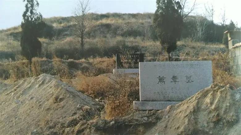 淄博有什么墓,淄博张店发现座古墓出土文物