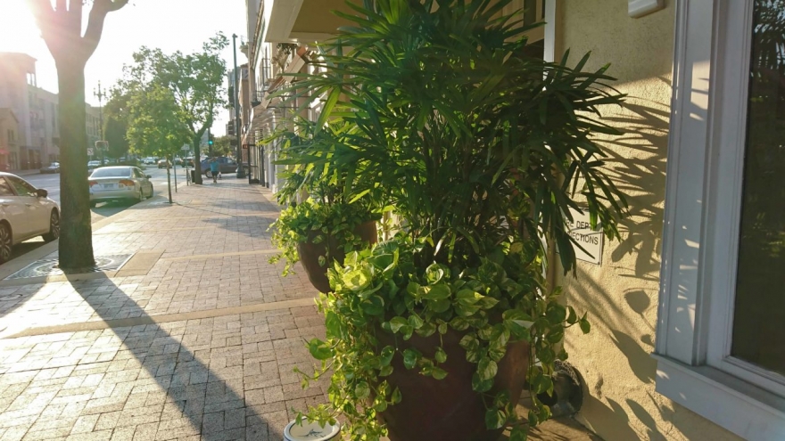 索尼xperia1iii对比三星s21u,小内存