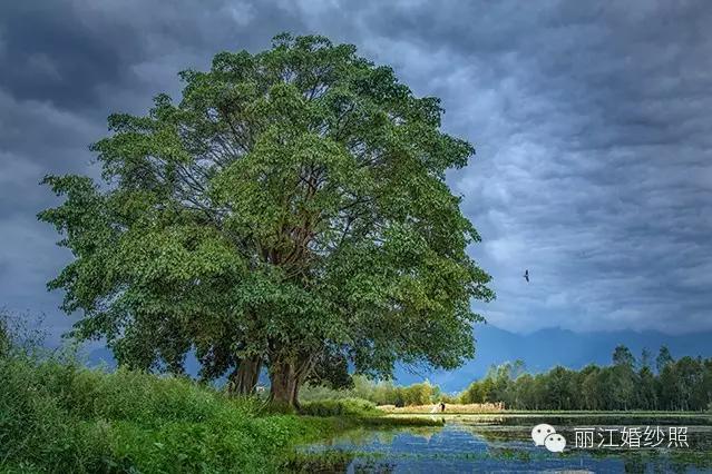 婚纱照摄影要点,旅拍婚纱摄影技巧与方法
