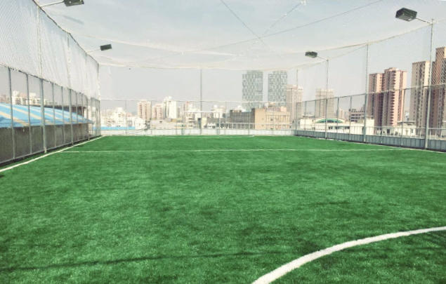 上海哪里有足球场草坪,上海足球场草坪哪家好