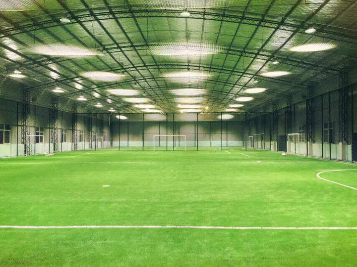 上海哪里有足球场草坪,上海足球场草坪哪家好