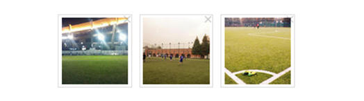 上海哪里有足球场草坪,上海足球场草坪哪家好