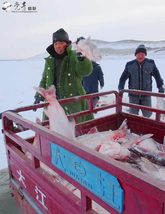 一个人眼中的成都,一个成都人眼中的四川