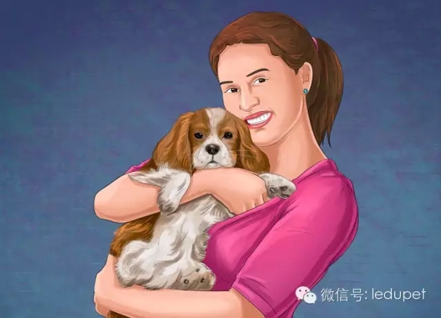 狗妈妈坐月子,狗妈妈跟狗宝宝月子怎么护理