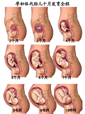怀孕第五个星期有什么征兆,怀孕第5周有哪些症状