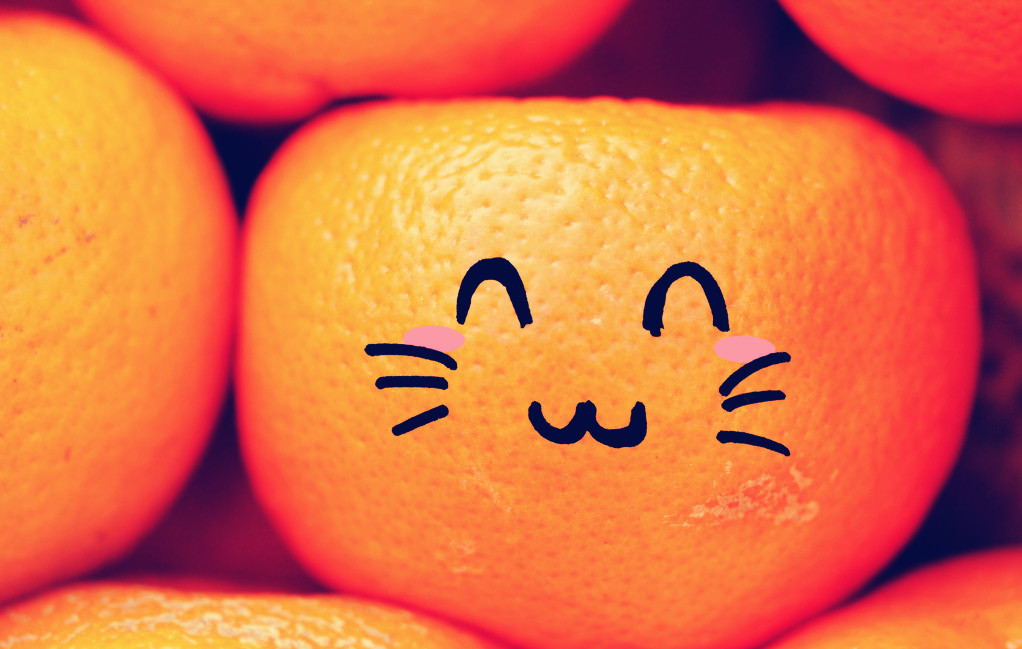 宝宝补钙保健品推荐,宝宝补钙和维生素产品推荐