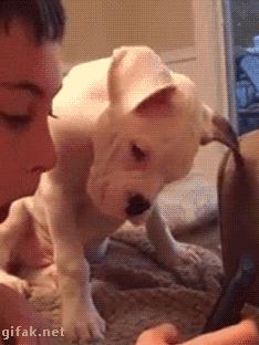 歪脖拯救世界,歪着脖子拯救地球图片