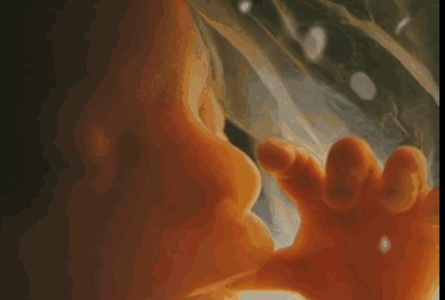 好孕2016！汤唯宣布怀孕啦！女神的小猴子是这样来的！