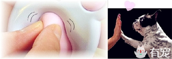 不能专心工作了～猫奴必败的逼真猫爪鼠标来啦！