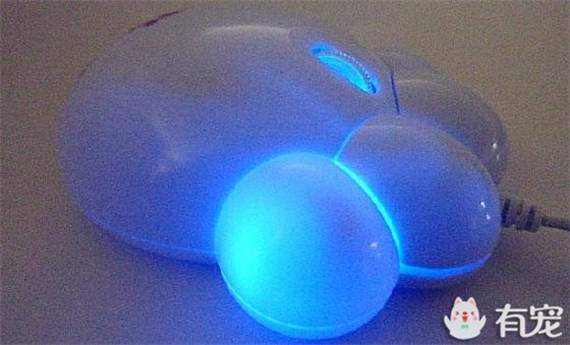 不能专心工作了～猫奴必败的逼真猫爪鼠标来啦！