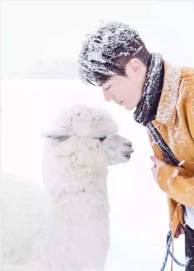 是胡也是霍，情人节伙着过，为什么最近这本时尚杂志卖疯了？