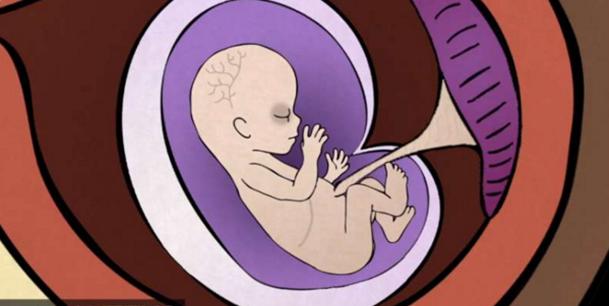 堕胎手术详细流程,女性堕胎手术的可怕真相