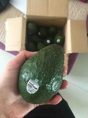 孕期要关注进补哪些营养素,怀孕四个月吃什么保健品补充营养