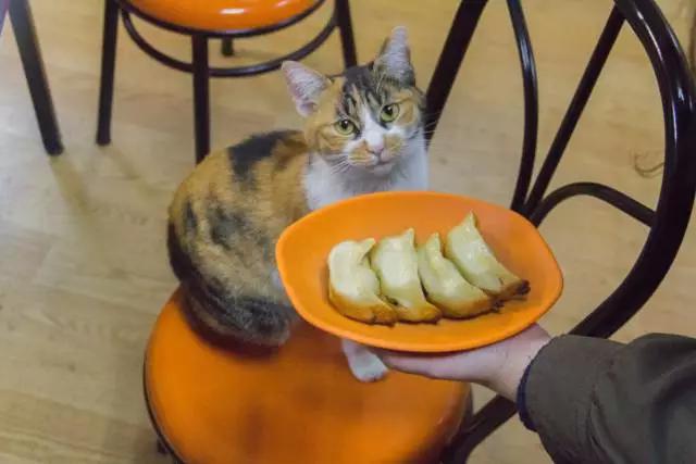 暴走上海18家锅贴店，给你最强测评分析！扛把子居然在...