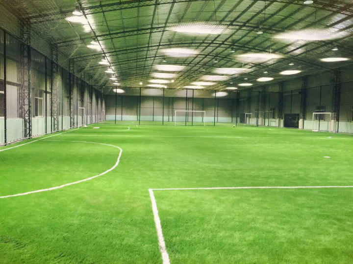 上海哪里有足球场草坪,上海足球场草坪哪家好