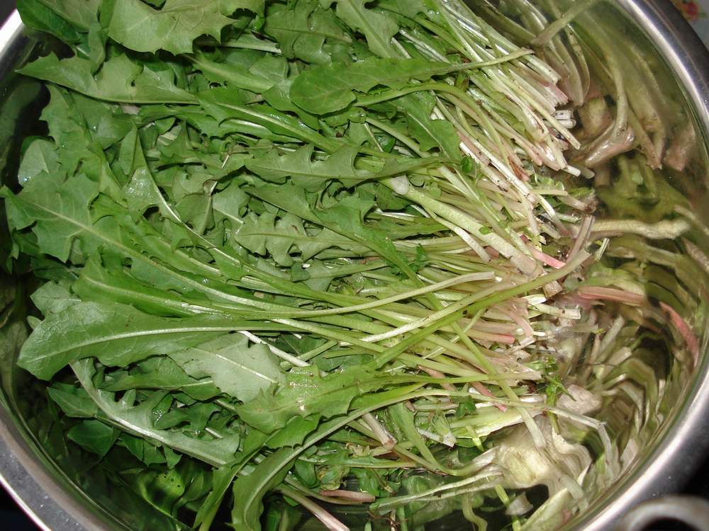 江西赣州春天野菜有哪些,赣南春天野菜