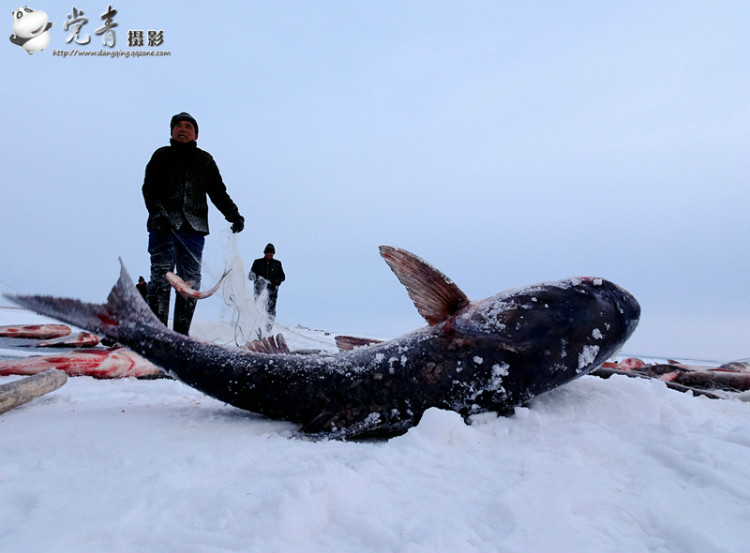 一个人眼中的成都,一个成都人眼中的四川