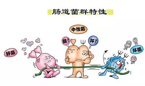 益生菌有什么营养,妇科益生菌到底有没有用啊