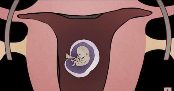 堕胎手术详细流程,女性堕胎手术的可怕真相