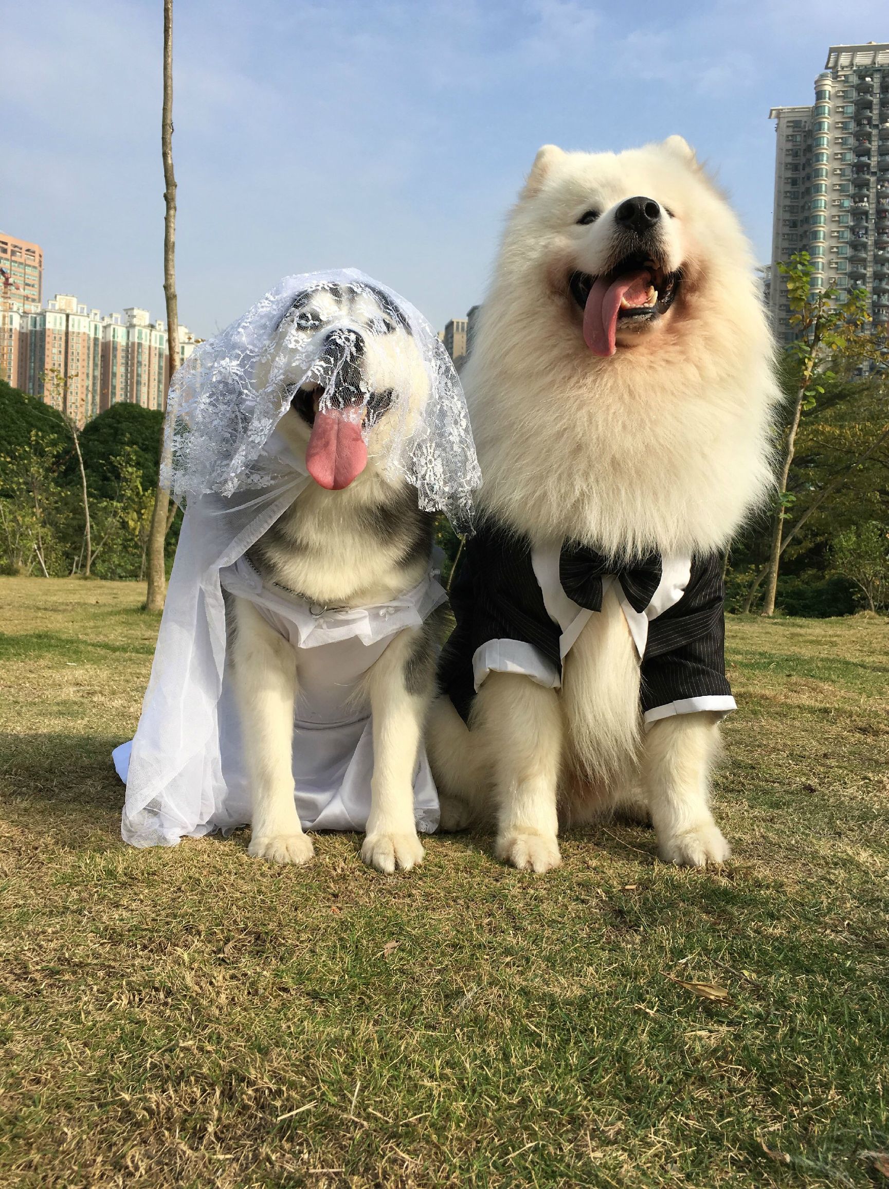 瀵逛笉璧蜂簩鍝堢殑鐪肩,瀵逛笉璧锋垜鐖变綘浜屽搱