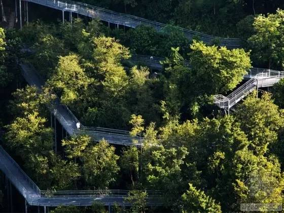 新加坡东海岸徒步攻略,新加坡雨天徒步路线图