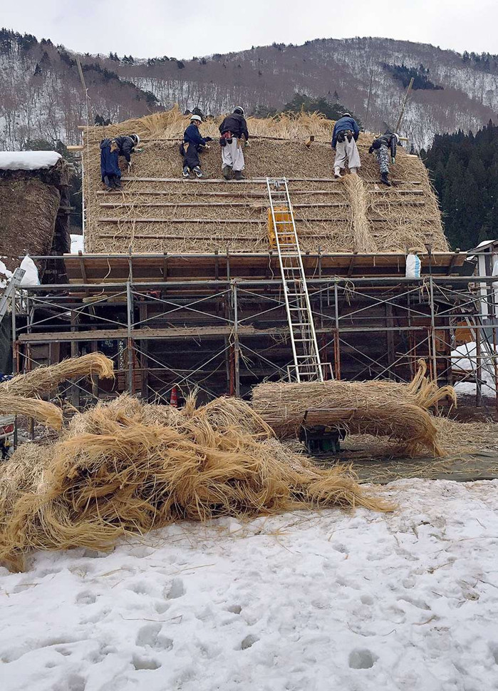 日本的冬天仍然色彩残暴,冬季日本的冰雪阳光