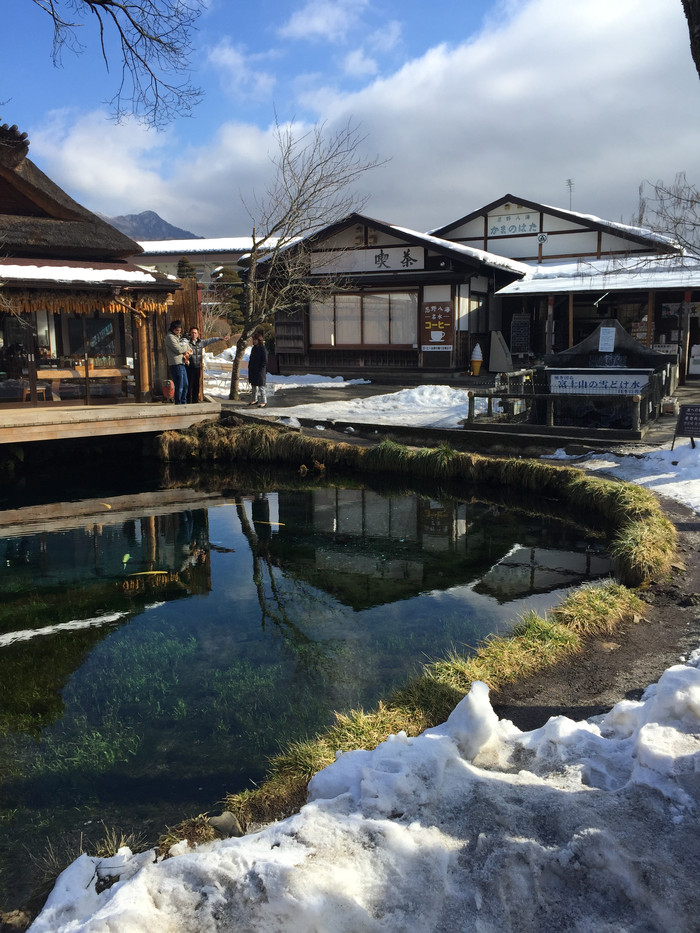 日本的冬天仍然色彩残暴,冬季日本的冰雪阳光