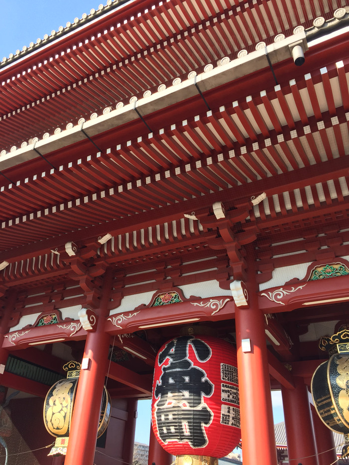 日本的冬天仍然色彩残暴,冬季日本的冰雪阳光