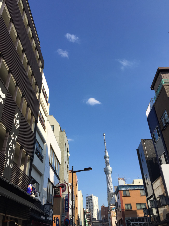 日本的冬天仍然色彩残暴,冬季日本的冰雪阳光