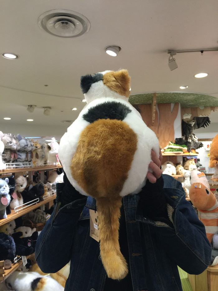 日本的冬天仍然色彩残暴,冬季日本的冰雪阳光